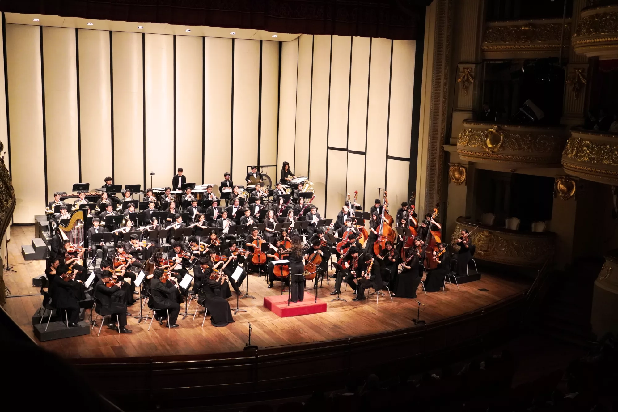 Sinfonía por el Perú Youth Orchestra